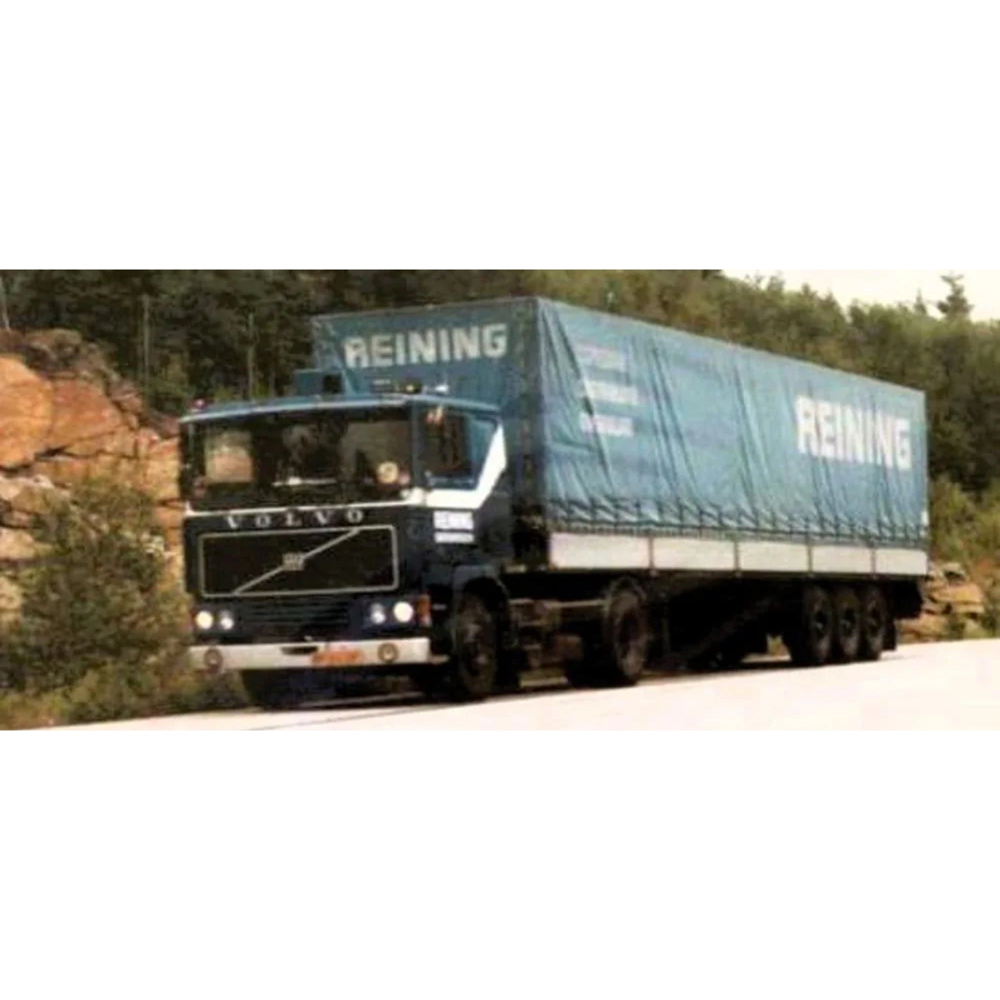 Reining | Tekno