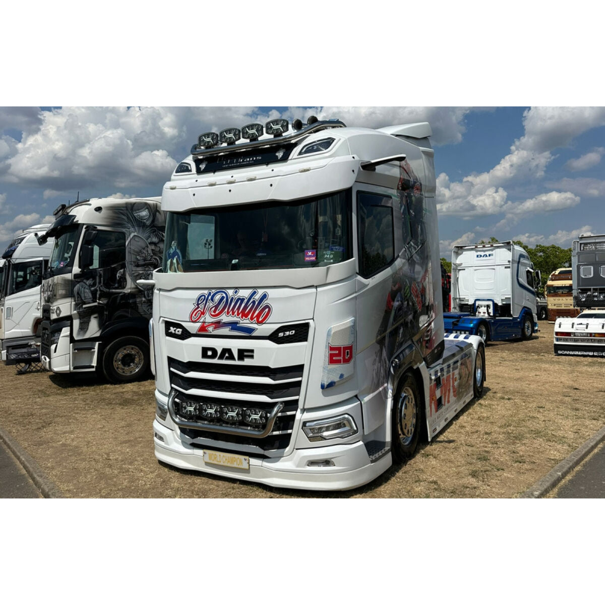 LP Trans | WSI Models