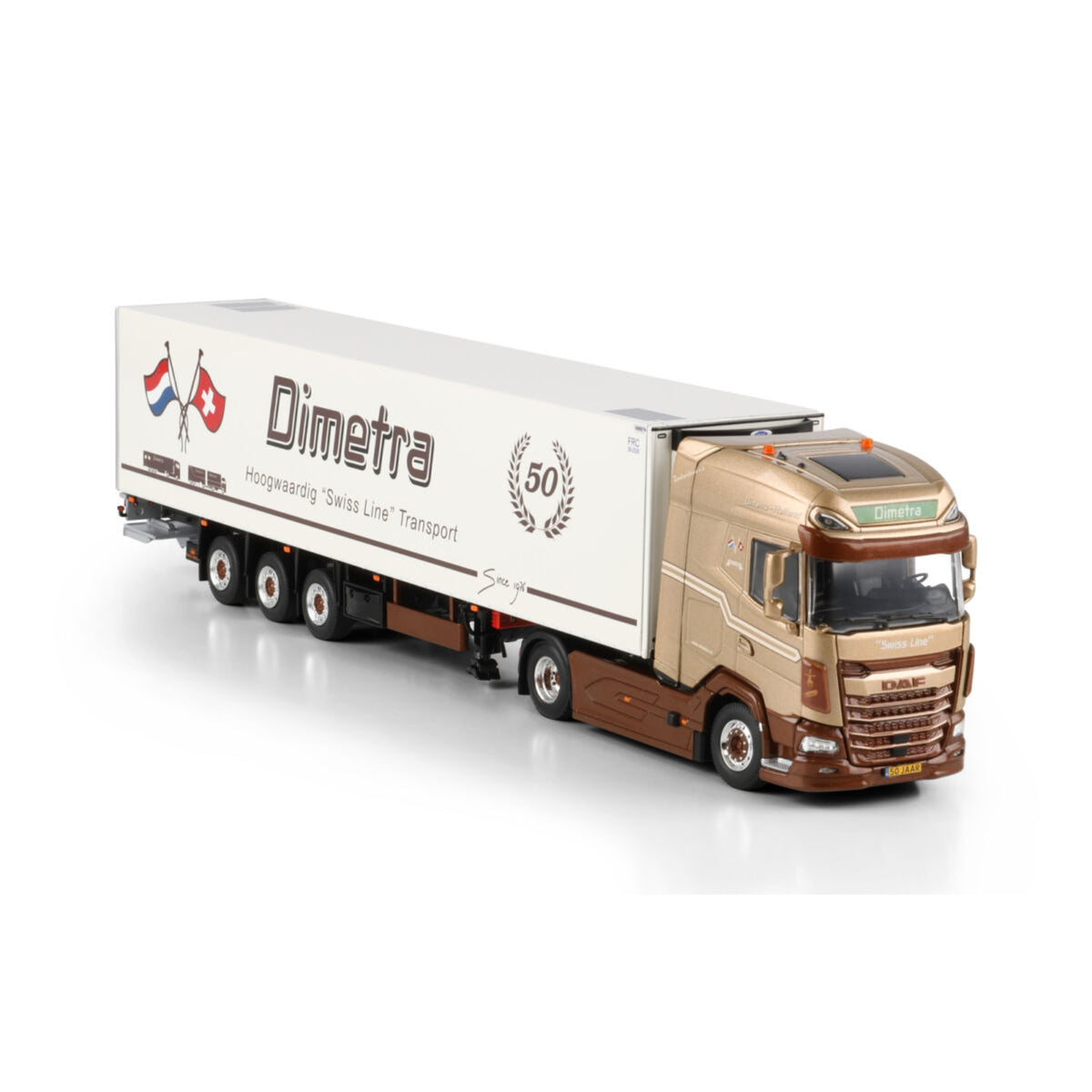 Dimetra | WSI Models