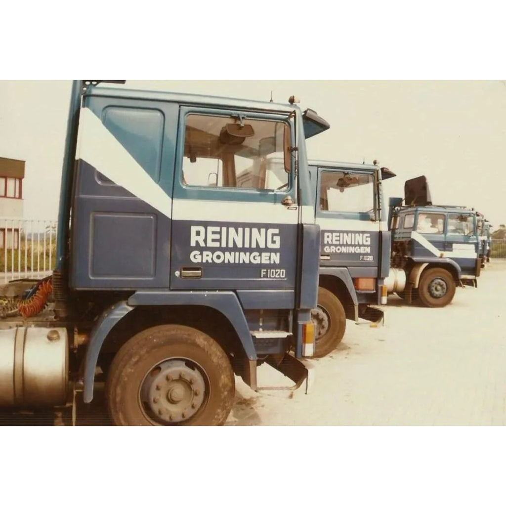 Reining | Tekno