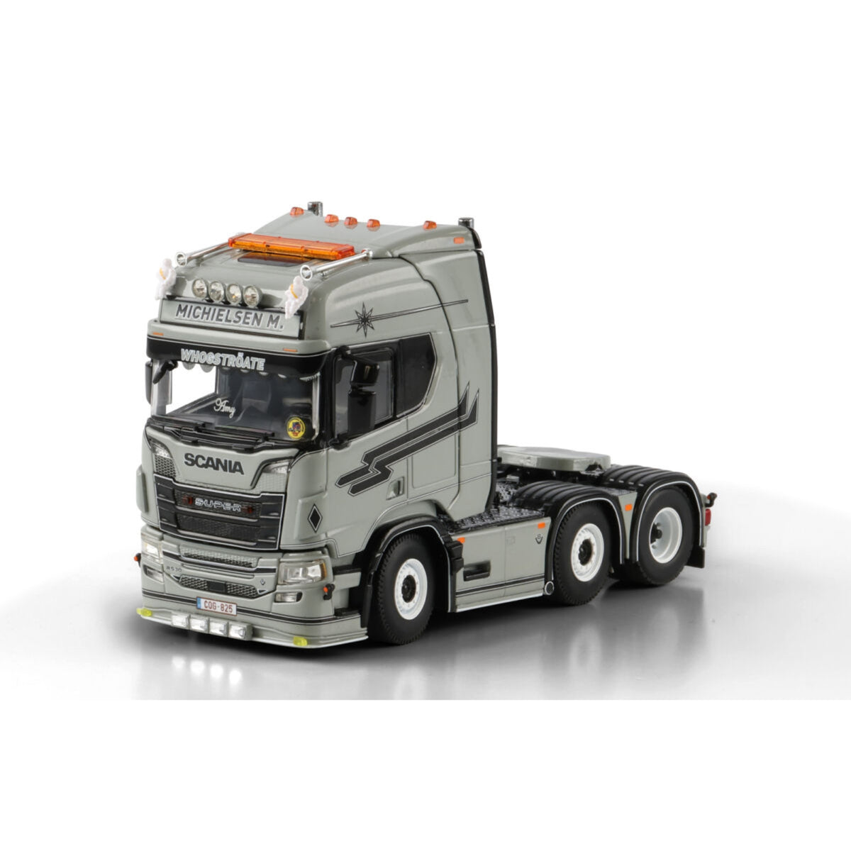 Michielsen M. | WSI Models