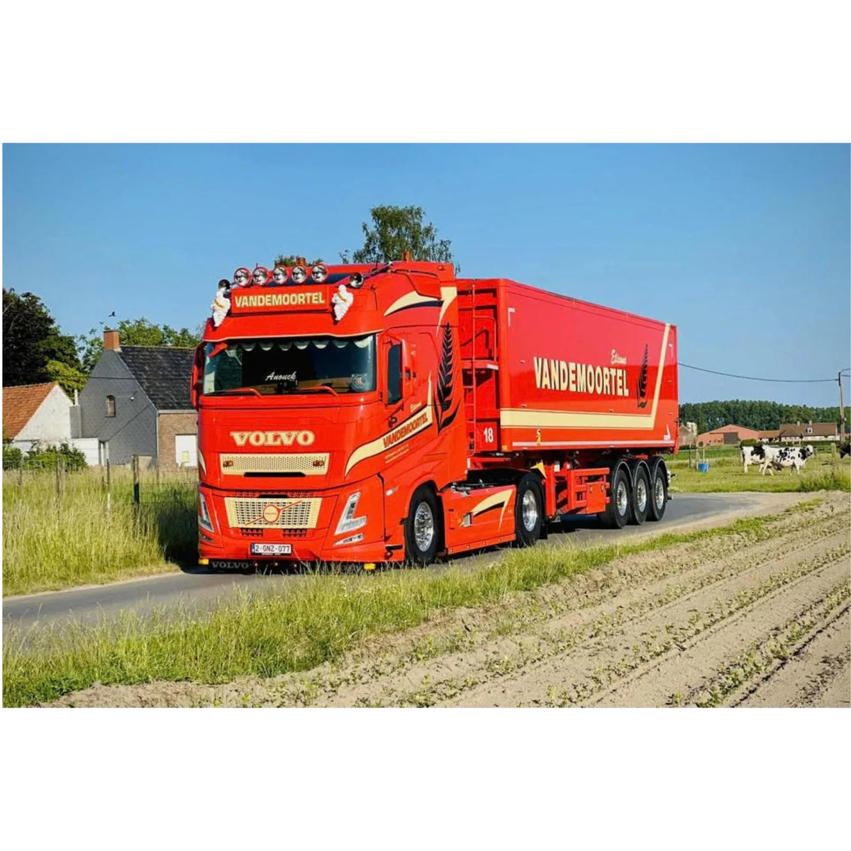Vandemoortel | Tekno